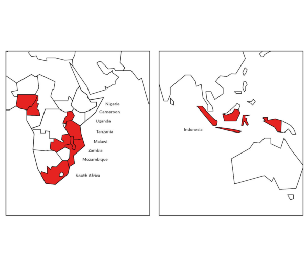 Maps highlighting certain regions in red within African and Asian countries, including areas in Nigeria, Cameroon, Uganda, Tanzania, Malawi, Zambia, Mozambique, South Africa, and Indonesia. These maps can serve as educational tools for kids to learn about geography and global issues.