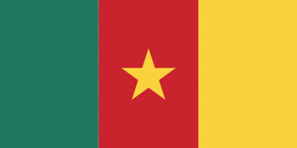 Flag of Cameroon with three vertical stripes of green, red, and yellow; a yellow star is centered on the red stripe.