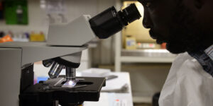 A person looks into a microscope in a laboratory setting.