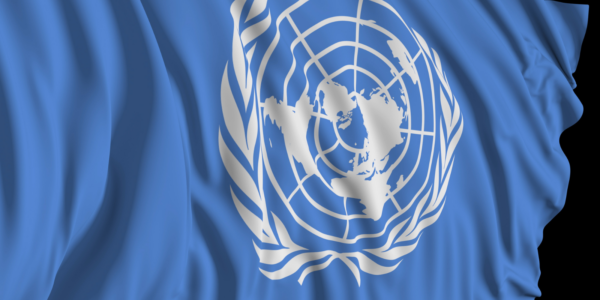 The image shows the flag of the United Nations, featuring a white world map surrounded by olive branches on a blue background.